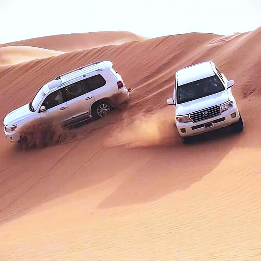 Doha Safari: ATV Ride, Dune Bashing, & Sandboarding Fun - Tea, camel time, and that quick cultural pause