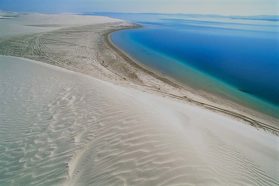 Doha Safari: ATV Ride, Dune Bashing, & Sandboarding Fun - Who this tour suits best