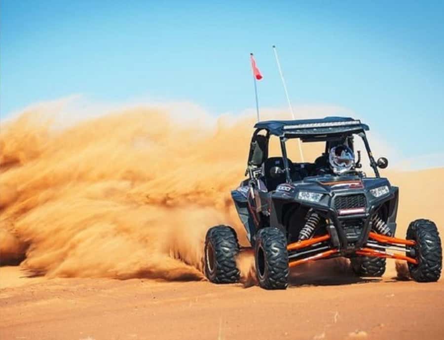 Doha: Safari, Camel Ride, Sandboarding and Inland Sea Tour - Camel Ride: A Calm Break That Still Feels Real