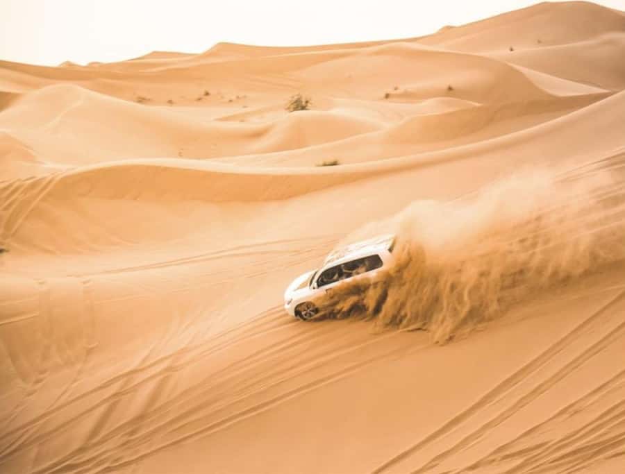 Doha: Safari, Camel Ride, Sandboarding and Inland Sea Tour - Sandboarding: Slides, Learning Curve, and the Best Spots