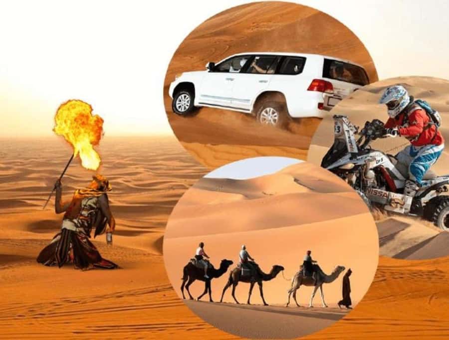 Doha: Safari, Camel Ride, Sandboarding and Inland Sea Tour - Inland Sea Time: Desert Meets the Water (Khor Al Adaid Area)