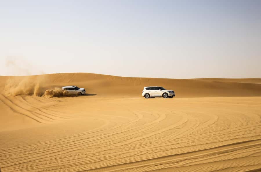 Doha: Safari, Camel Ride, Sandboarding and Inland Sea Tour - Who Should Book This Safari (and Who Might Skip It)