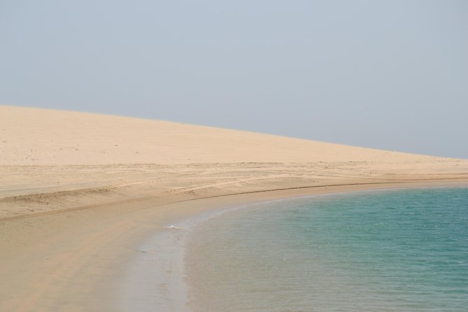 Doha: Safari, Dune bashing, Camel Ride, Sandboarding & Inland Sea - The photo and guide factor: why some guides add real value