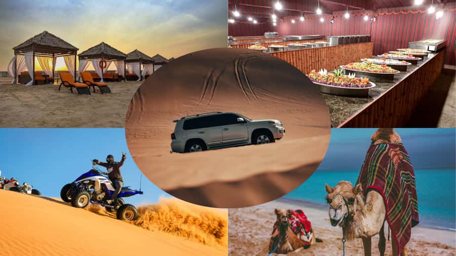 Doha:Safari Tour with Lunch/Dinner in Desert by the Sea Side - Camel Ride + Dune Bashing + View Stops: Where the Safari Gets Its Pulse