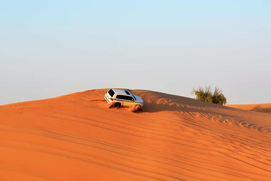 Doha:Safari Tour with Lunch/Dinner in Desert by the Sea Side - Inland Sea Stop: Why This View Is the One People Remember