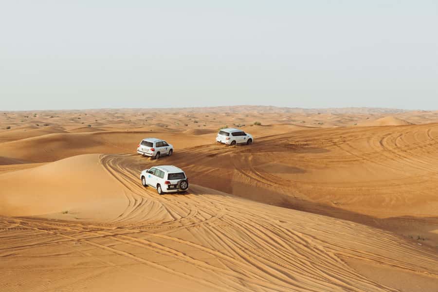 Doha:Safari Tour with Lunch/Dinner in Desert by the Sea Side - Optional On-Site Extras: Falcon Pictures, ATV/Quad Biking, and Extra Camel Time