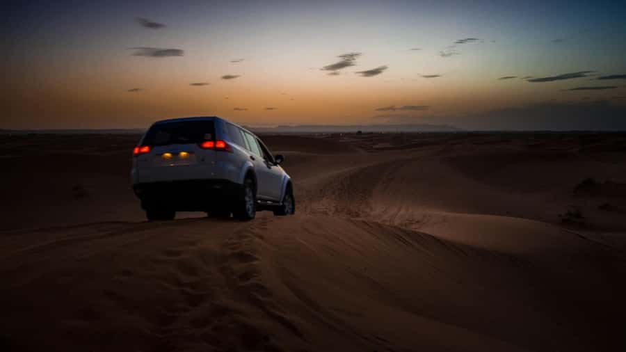 Doha:Safari Tour with Lunch/Dinner in Desert by the Sea Side - Price and Value: Is $265 Per Person Reasonable for What You Get?
