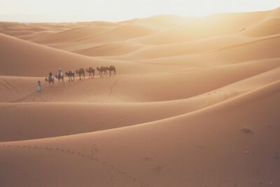 Doha Sunrise Desert Safari Tour| Dune Bashing| Inland Sea visit| Camel Riding - Dune Bashing in a Toyota 4x4: Thrills and Safety Basics