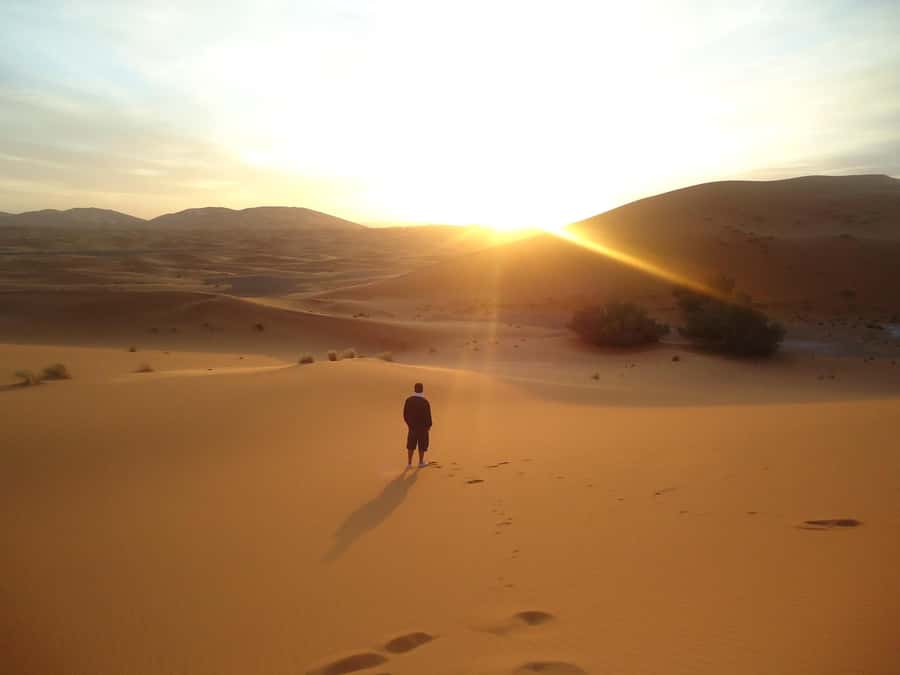 Doha:Sunrise or Sunset Desert Safari Tour with Sand Boarding - Inland Sea Stop: Where You See Water Against Dunes