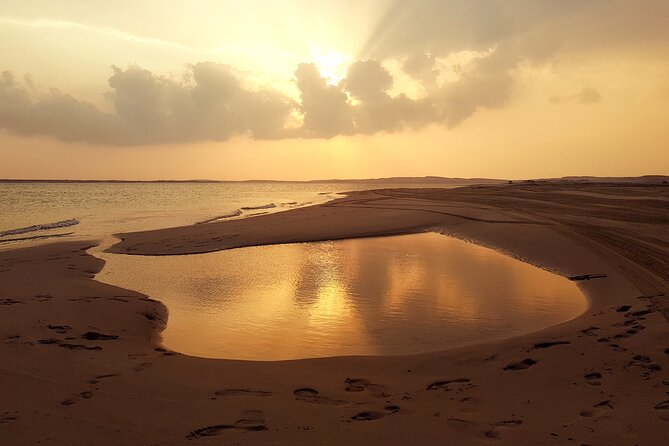 Doha: Sunrise /Sunset Desert Safari with Sand Boarding,Camel ride - Pickup, Quick Transfer, and the Sealine Beach Camel Camp Stop