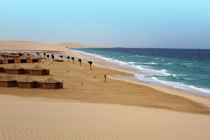 Doha: Sunrise /Sunset Desert Safari with Sand Boarding,Camel ride - Sand Boarding: Trying It Without Overthinking It