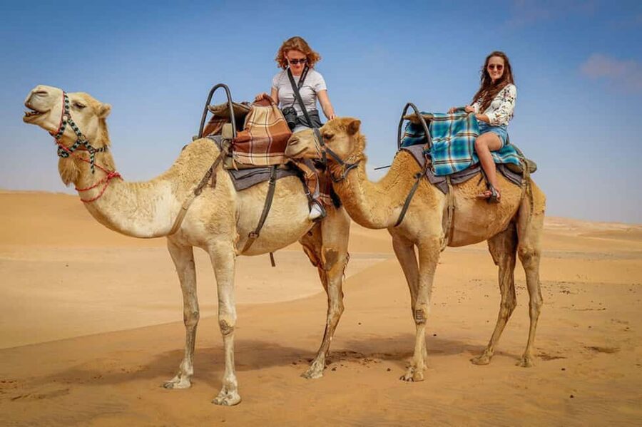 Doha: Sunset Desert Safari, ATV, Camel Ride and Sandboarding - The 4x4 dune bashing session: adrenaline with a safety-first feel