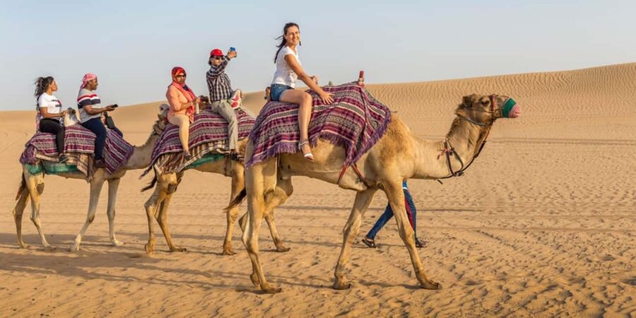 Doha: Sunset Desert Safari, ATV, Camel Ride and Sandboarding - Sandboarding and optional quad bikes: choosing your thrill level