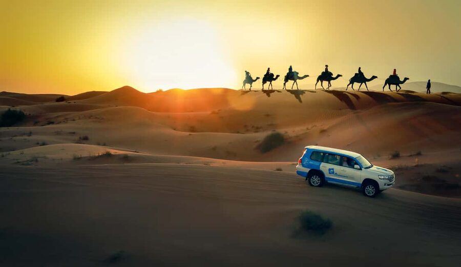 Doha: Sunset Desert Safari, ATV, Camel Ride and Sandboarding - Key things I’d prioritize before you go