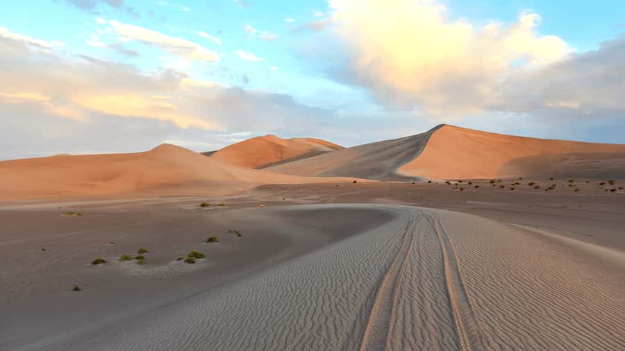 Doha: Sunset Safari, Dune Bashing, Sandboarding & Camel Ride - Dune bashing and sandboarding: adrenaline with a safety brake