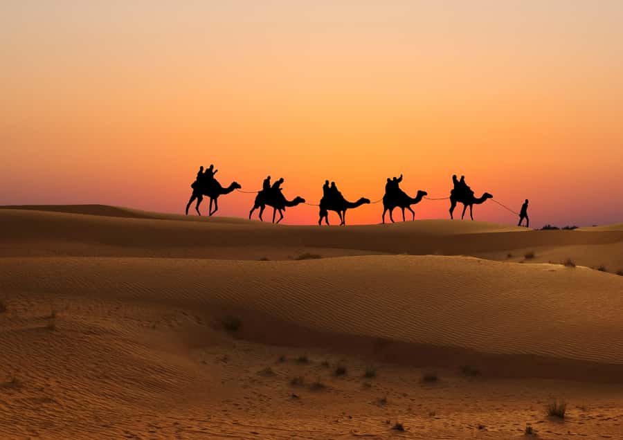 Doha: Sunset Safari, Dune Bashing, Sandboarding & Camel Ride - What to bring (and what to leave behind)