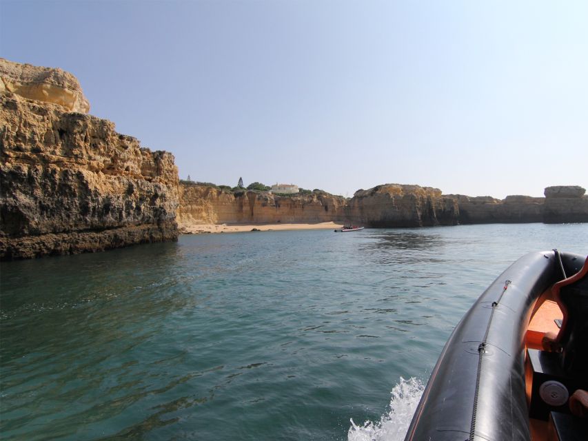 Dolphin Safari and Cave Tour in Vilamoura - Dolphin Safari and Cave Tour in Vilamoura: the quick pitch