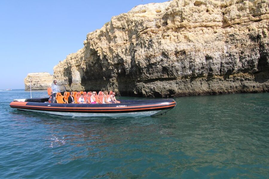Dolphin Safari and Cave Tour in Vilamoura - Bottlenose and common dolphins: how the “wild” part affects your expectations