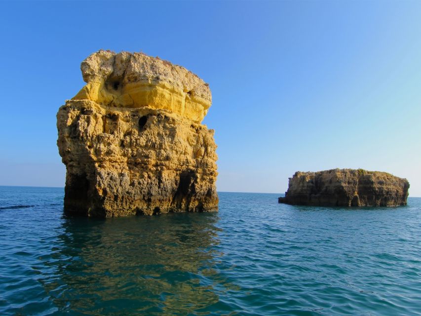 Dolphin Safari and Cave Tour in Vilamoura - Who this tour fits best in real life