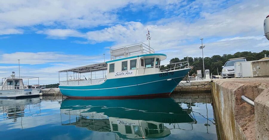 Dolphin Safari Boat Trip from Marina Funtana - Price and value: does $35 make sense?