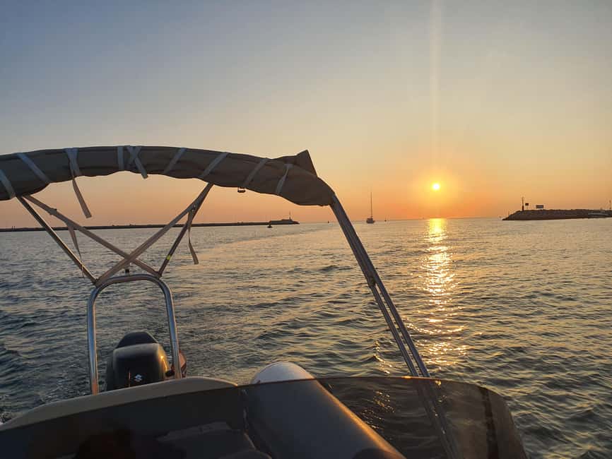 Dolphin safari every evening - Key things I’d circle before booking
