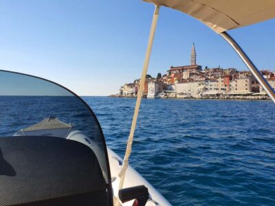 Dolphin safari every evening - The luxury speed boat details you’ll actually feel during the hour
