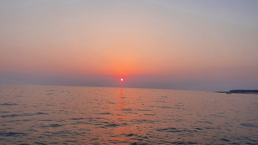 Dolphin safari every evening - Skipper option vs. self-drive: what you need to know
