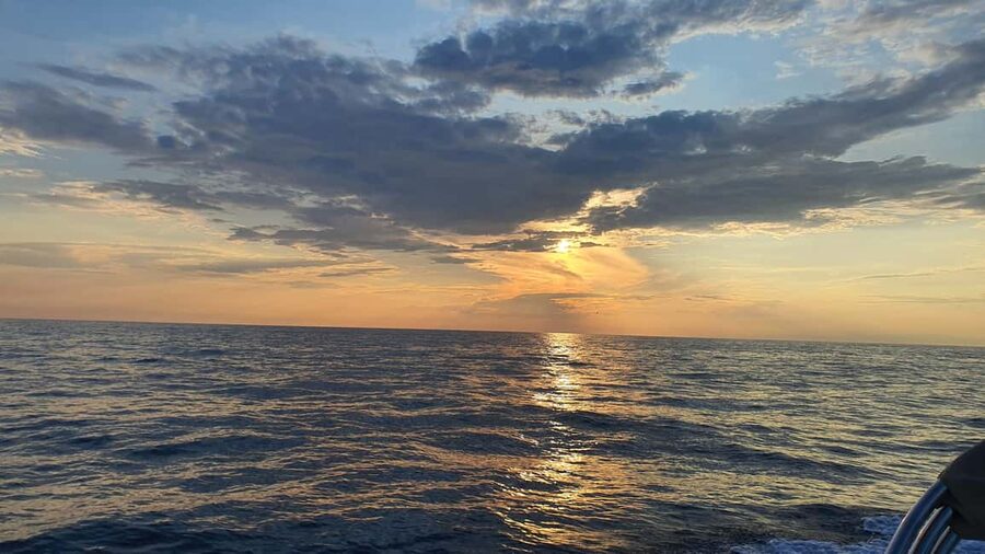 Dolphin safari every evening - What to bring so the hour feels effortless