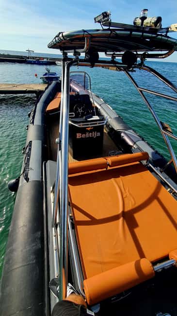 Dolphin safari every evening - Languages and guide style: you’ll likely get clear info