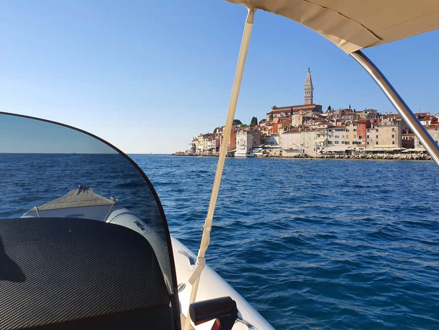 Dolphin safari every morning&evening - Morning or Sunset in Istria: Choosing the Right 90 Minutes