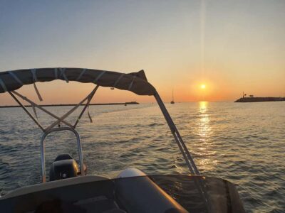 Dolphin safari every morning&evening - Skipper Jan Leads the Hunt (and Teaches You the Craft)