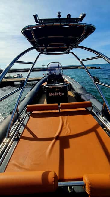 Dolphin safari every morning&evening - Small Group Vibe: 4 to 20 People, So You Don’t Get Lost