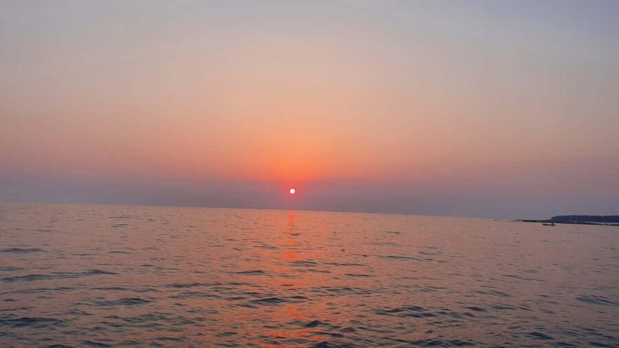 Dolphin safari every morning&evening - What to Bring So the Sea Doesn’t Ruin Your Evening