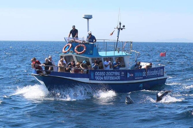Dolphin Watching in Gibraltar Dolphin Safari V.I.P - Weather, motion, and the one-day reality you can’t control