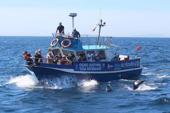 Dolphin Watching in Gibraltar Dolphin Safari V.I.P - Who Dolphin Safari V.I.P. fits best (and who might want a backup plan)