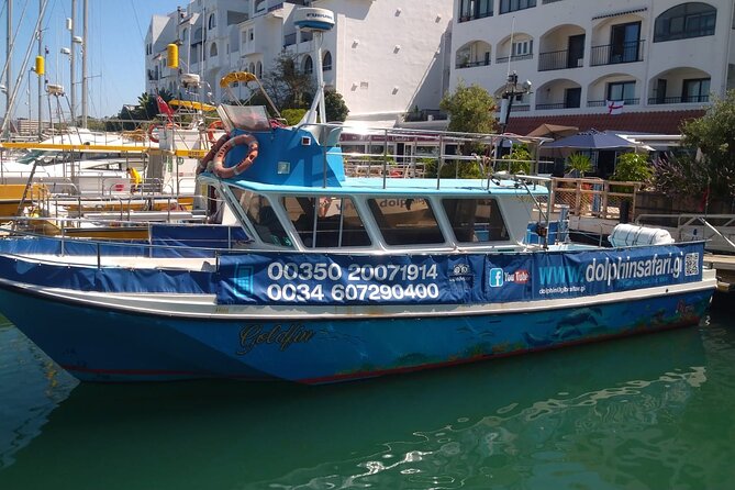 Dolphin Watching in Gibraltar with Dolphin Safari - Key Things to Know Before You Go