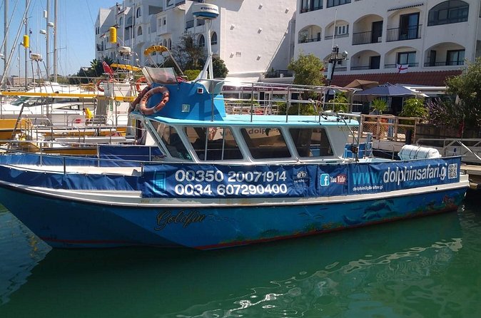 Dolphin Watching in Gibraltar with Dolphin Safari - The Dolphin Watching Part: How the Crew Maximizes Your Chances