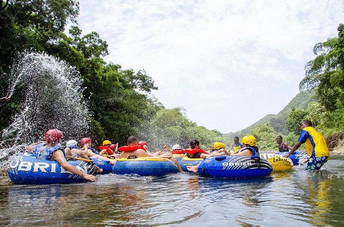 Dominica Shore Excursion: River Tubing Safari - Who This Tour Fits Best (and Who Might Want a Different Plan)