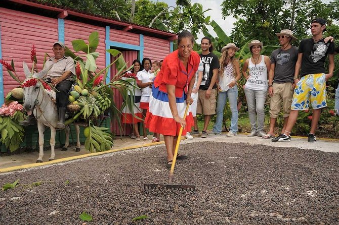 Dominican Republic Countryside Safari Tour from Punta Cana - Key things I’d bet on from this tour