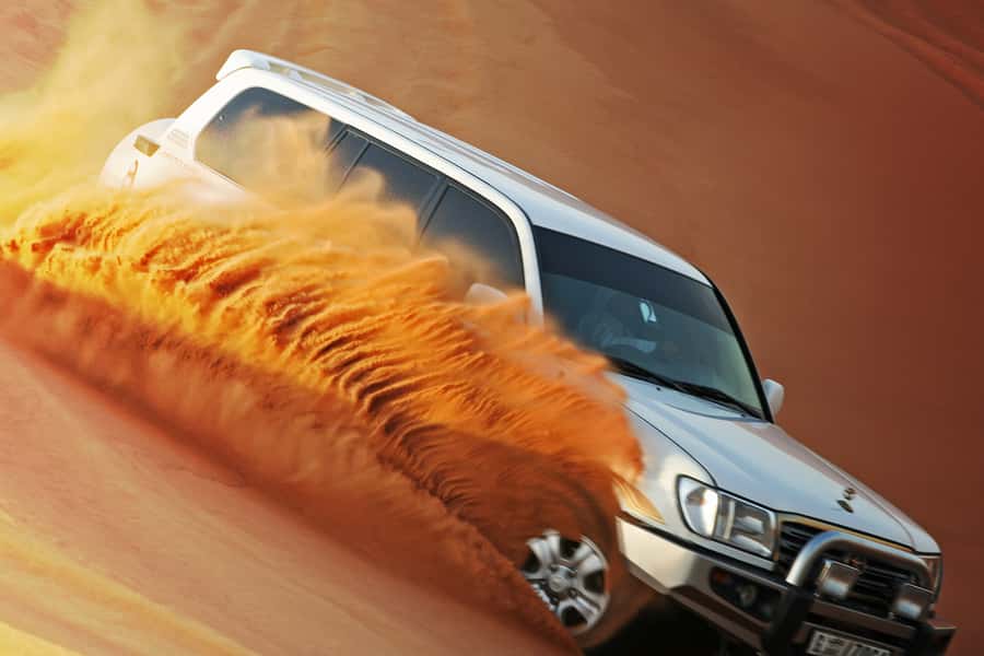 Dubai 4WD Evening Desert Safari - Camel Farm Stop and Sunset Pause: The More Chill Part