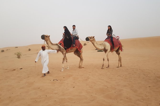 Dubai 4x4 Desert Safari, Quad Bike, Camel Ride & BBQ Dinner - Quad Bikes and ATV: How to Upgrade Without Overpaying