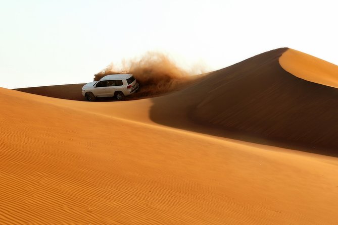 Dubai: Adventure Evening Desert Safari, Camel Ride, Shows & BBQ Dinner - Key things I’d plan around