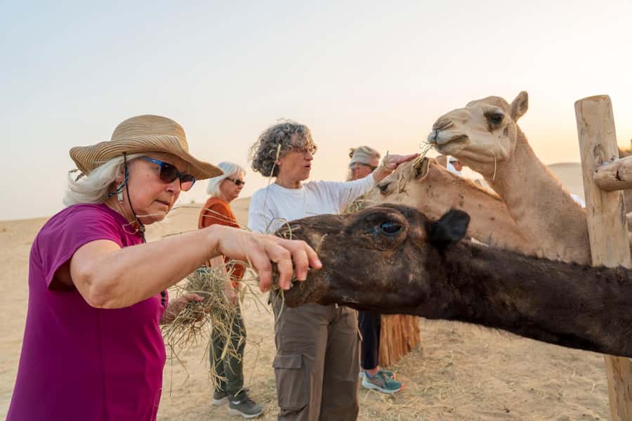 Dubai: Al Marmoom Oasis Safari, Animal Spotting & Breakfast - Who should book this safari (and who should skip it)
