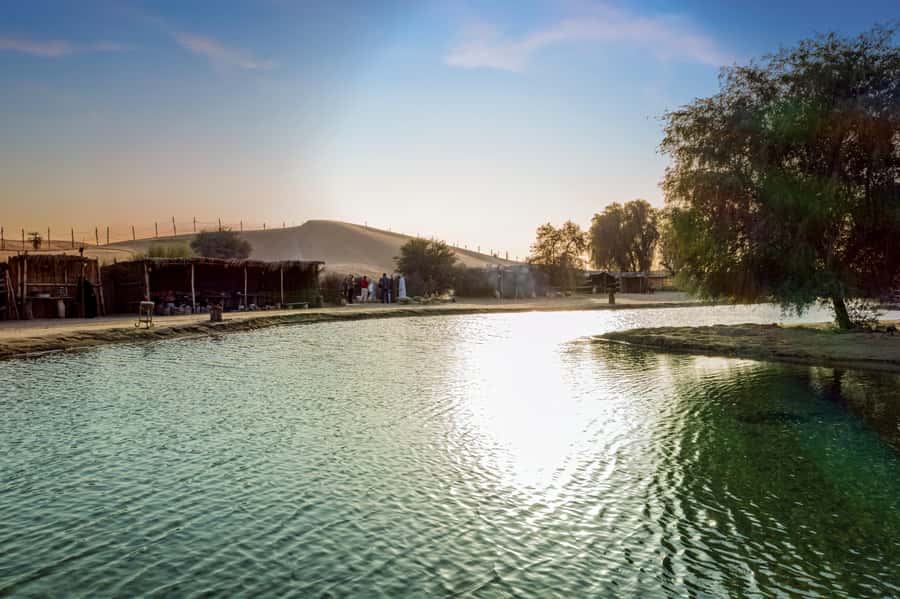 Dubai: Al Marmoom Oasis Safari, Animal Spotting & Breakfast - Final call: should you book Al Marmoom Oasis?