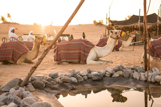 Dubai: Bedouin Culture Safari - Breakfast that turns culture into something you can taste
