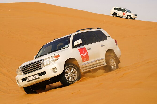 Dubai Buggy Tour in red sands and Desert Safari - Price and value: what $250 buys in a short 3-hour run