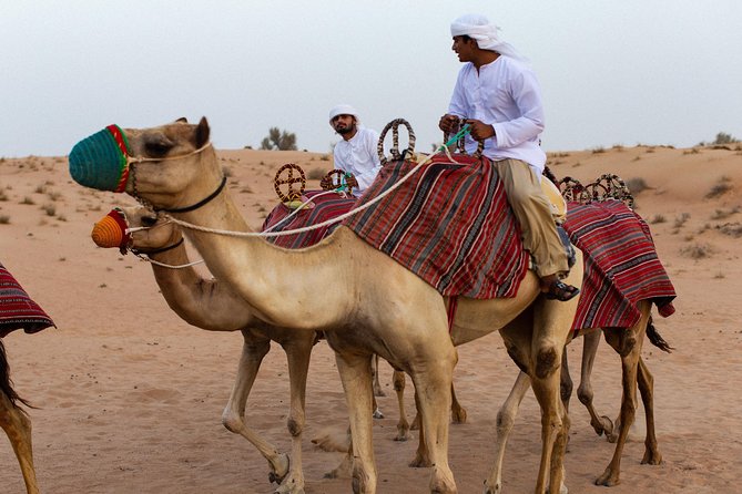 Dubai Camel Desert Safari, Traditional Meal & Heritage Activities - The camel caravan: why this safari feels different