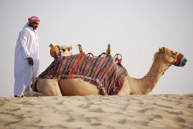 Dubai City Tour and Evening Desert Safari Combo - Day 2: Lahbab Red Dunes dune bashing plus sandboarding basics