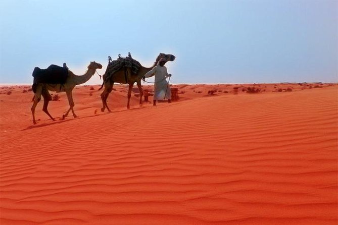 Dubai City Tour (Old & New) Desert Safari, BBQ, Camel Ride, Shows - Morning City Loop: Al Fahidi, Dubai Museum Fort, and Abra Across the Creek
