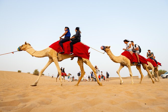 Dubai Combo:City Tour and Premium Desert Safari with all Activities - How this 2-day Dubai combo fits a first-time schedule